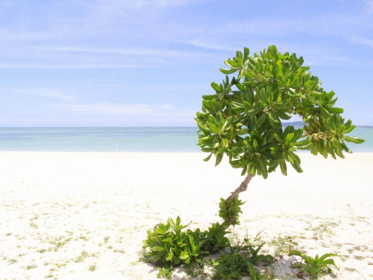 Ishigaki  The Avance Hotel Ishigakijima - Vacation Stay 85735V المظهر الخارجي الصورة