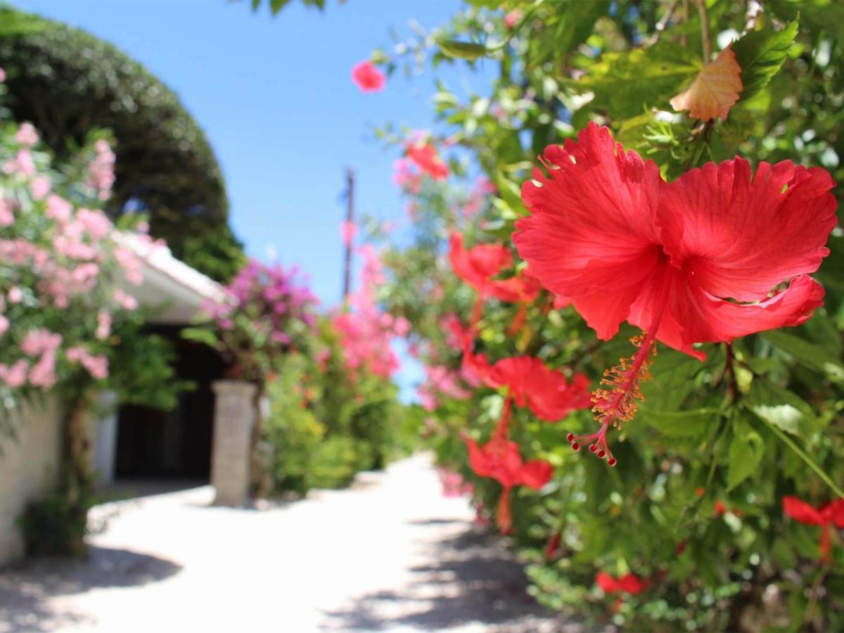 Ishigaki  The Avance Hotel Ishigakijima - Vacation Stay 85735V المظهر الخارجي الصورة